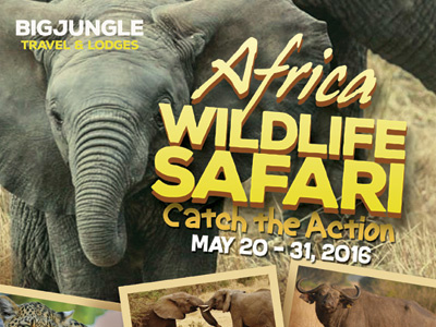 Wildlife Safari Flyer Templates ad africa flyer kenya poster safari tour travel wild life wildlife zoo