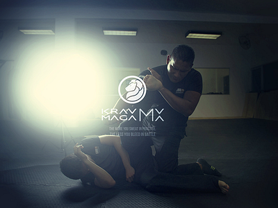 Promotional Banner for Krav Maga School