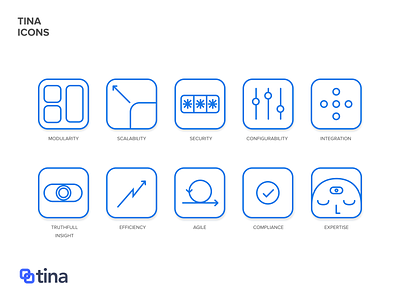 Tina website icons