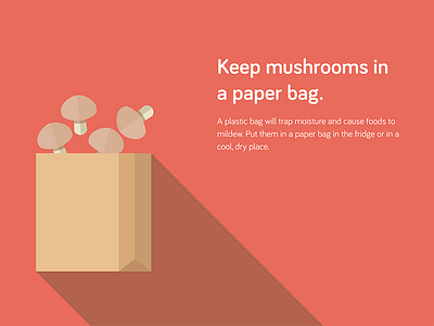 Food Storage Tips - Keep mushrooms in a paper bag flat food icons illustration research service design storage tips
