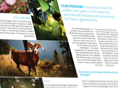 Central Okanagan Land Trust best brand branding brochure central okanagan central okanagan land trust debut design dribbble favorite fun logo okanagan photographs popular re design redesign tiles tri fold vernon visual