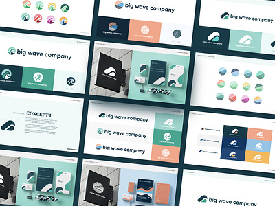 Big Wave Company - Brand Identity Concepts