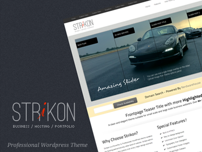 Strikon Wordpress Theme hosting theme portfolio. wordpress theme