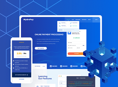 Hydropay app branding design logo payment ui