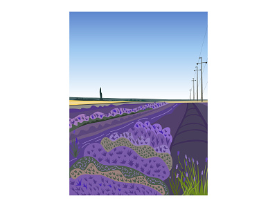 Lavender 2d adobe illustrator illustration lavanderia lavender vector
