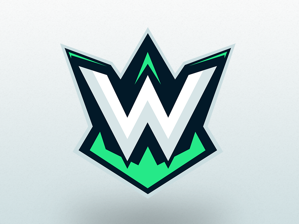 WG Gaming by Alex Obreja on Dribbble