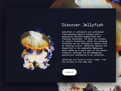 Discovering Information Interactively 2d app blue culture dark design fish information purple sea web yellow