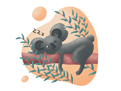 Sleepy Koala illustration koala texture