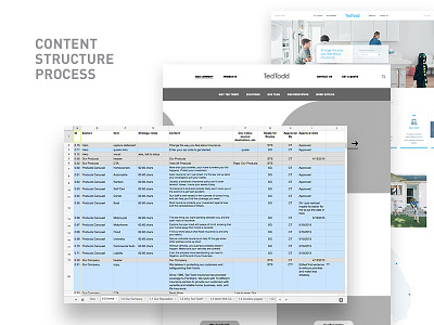 Creating Content from Strategy content content strategy focus lab strategy structure ui ux website wireframe