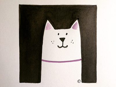 Illustration cat. cat children book illustration