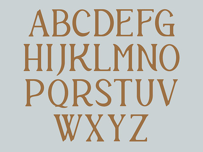 Custom Font branding design typography vector