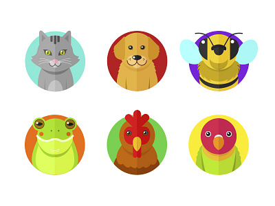 Flat Animals animals bee bird cat color cute dog flat frog rooster