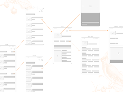Mobile Concept Sitemap app birds components concept design flow flowchart mobile sitemap ux