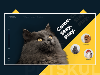Petskul blue cat concept design dog pet pet care ui ui ux design uidesign uiux web webdesign website yellow