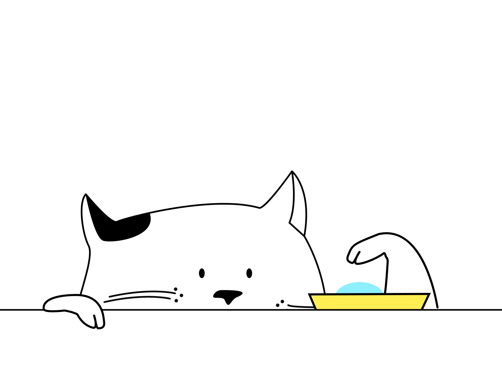 Playing cat animal animation animation 2d illustration vector
