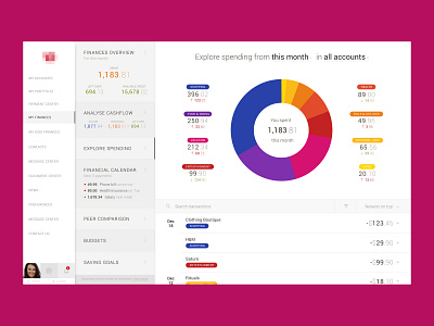 FinTech Data Visualization