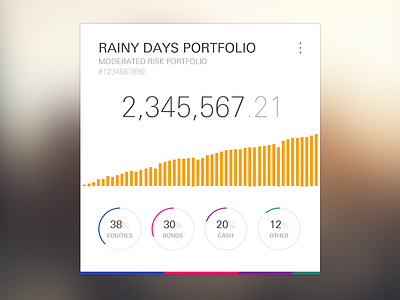 Rainy Days Investment Portfolio Summary