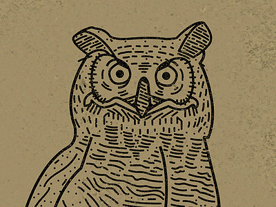 WHO are you looking at? animal bird doodle graphic design illustration illustrator lines owl vintage