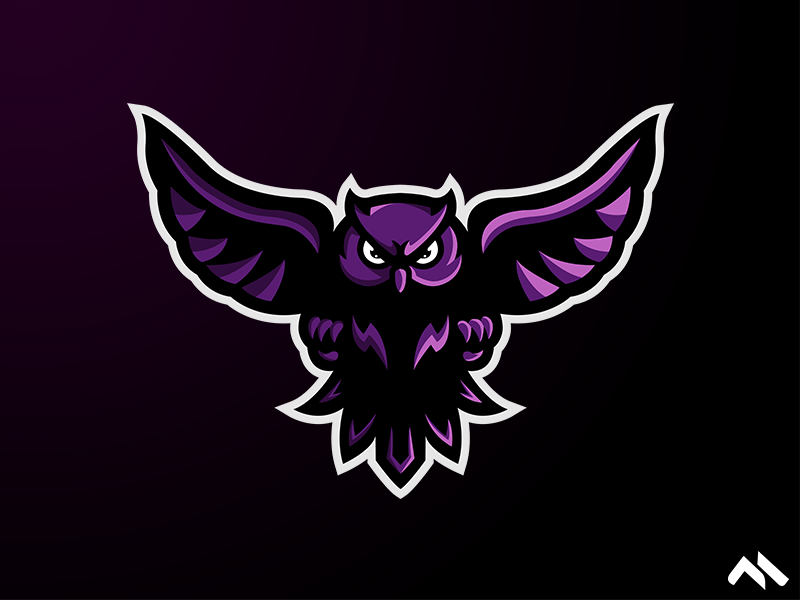 Owl Mascot logo by Matt H on Dribbble