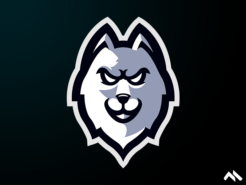 Wolf Mascot logo wolf logo wolf visualstyle illustration logomascot mascotlogo mascot logo