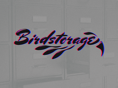 birdstorage bird grain logo marketing modified scan lines tv typography