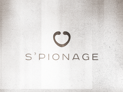 S'pionage - Swimwear Brand Proposal