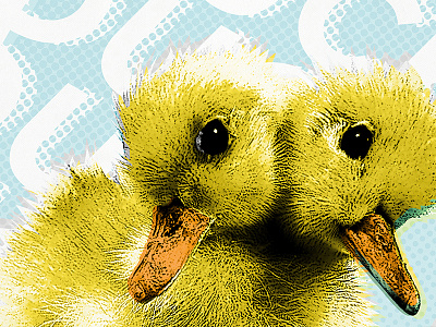 Ducking Autocorrect duck poster screen print typography