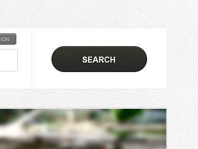 Search Button