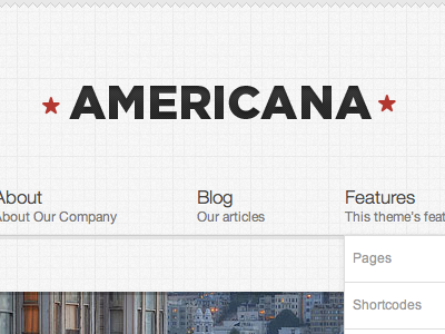 Americana clean css3 theme wordpress