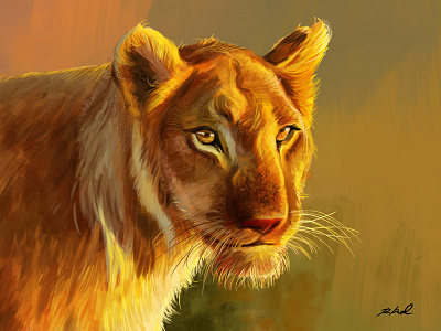 Lioness animalart animalartist animals bigcats digitalpainting lion lioness wildlife