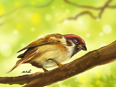 Sparrow bird digitalart digitalpainting illustration nature