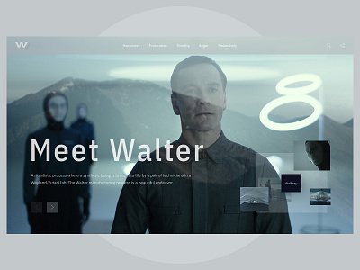 Meet Walter Website clean design minimal ui ux web