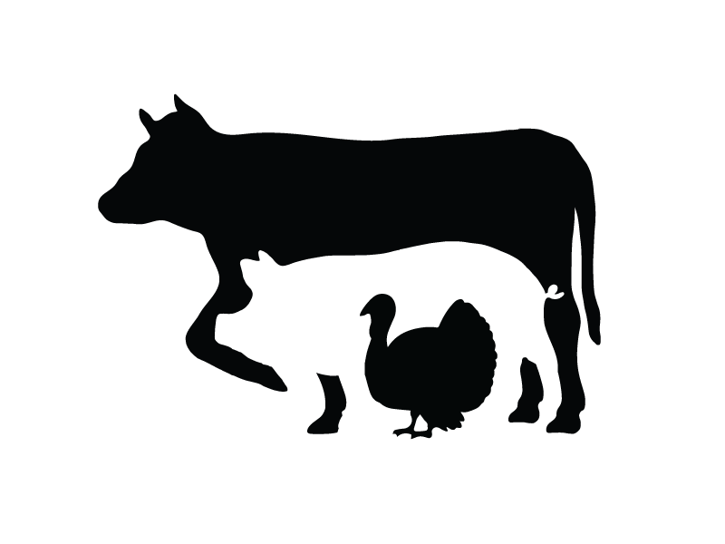 Central Coast Meat Market turkey pig cow bbq butcher meat animals logotype logo identity branding
