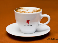 cup mockup - Free Coffee Cup Logo Mockup | PSD File