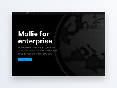 Mollie for enterprise animation enterprise globe interface line mollie page svg ui web website