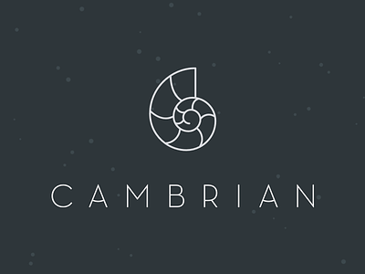 Cambrian Mark branding icon logotype mark