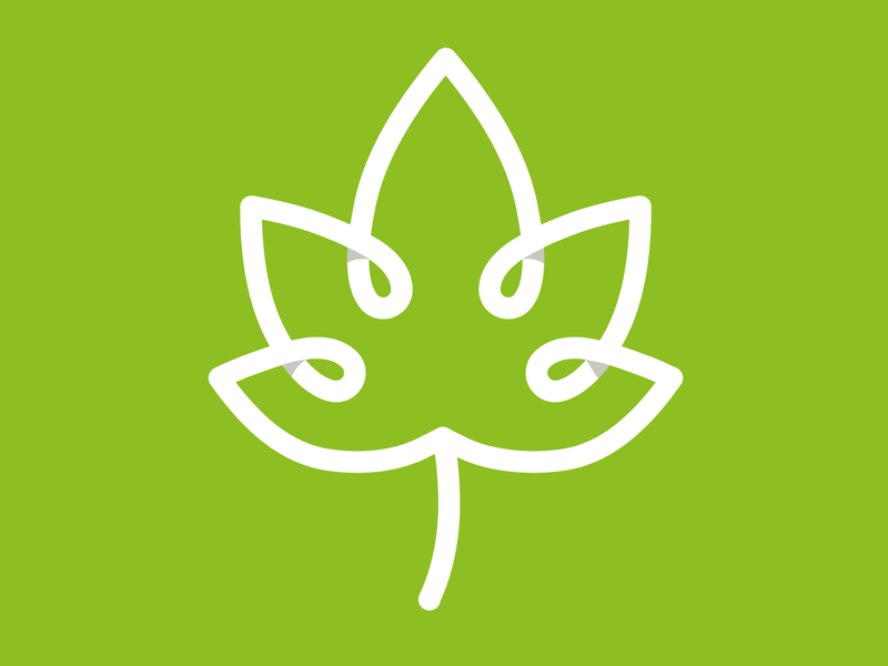 Greenwood Nursery School - Logo Animation animation branding design first shot icon leaf logo nature school