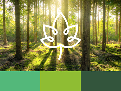 Greenwood Nursery School - Colour Palette branding design icon leaf logo nature school