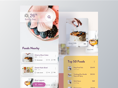 Food App Concept