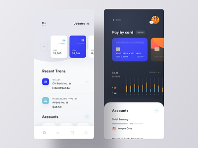 Account Manager iOS App Concept account app design app ui card chart credit card finance grid ios app ios app design list pay payment transaction