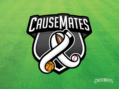 Causemates charity sports