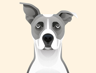 Hank bulldog dog art dog illustration doggo doggy fur grey greyhound illustration realism texture vector
