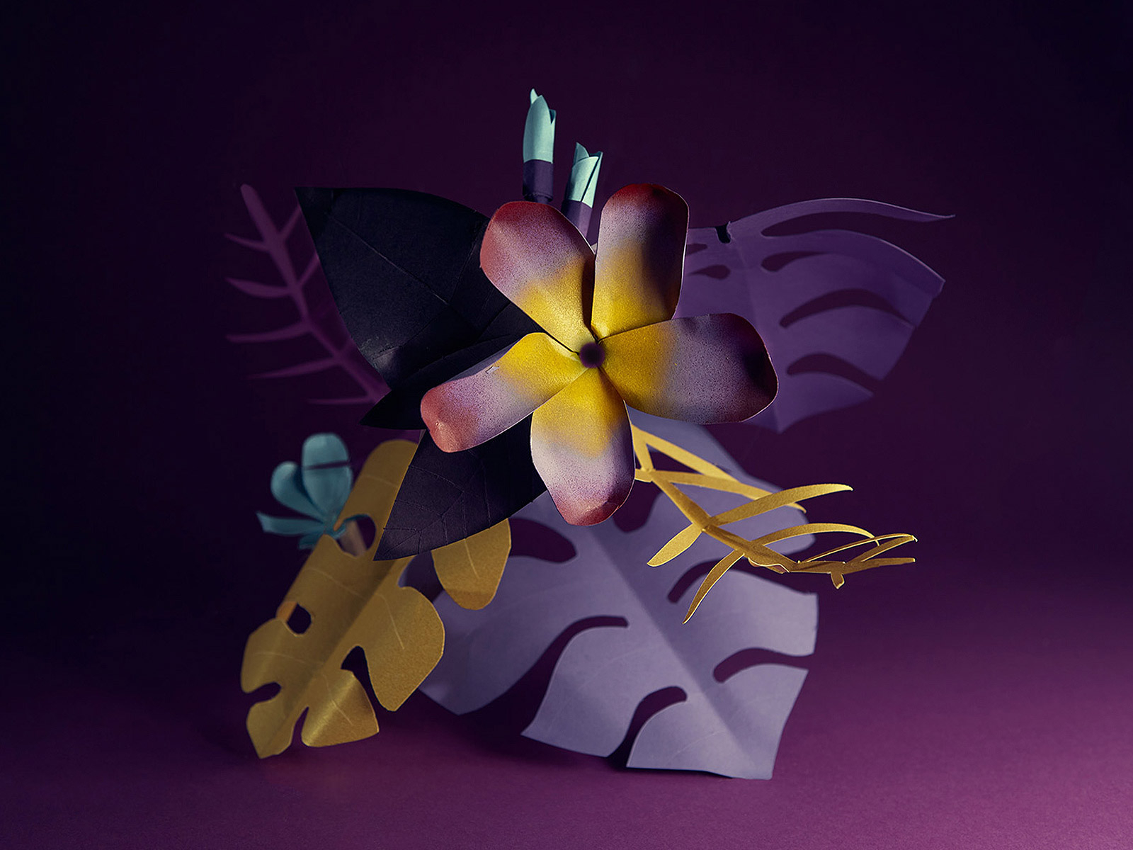 Paper Tropical Flower By Alicja Colon On Dribbble