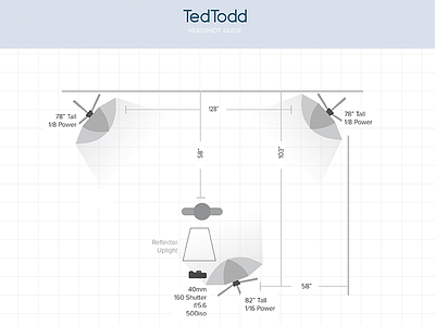 Ted Todd Insurance: Lighting Guide