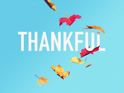 Paperful Thanks