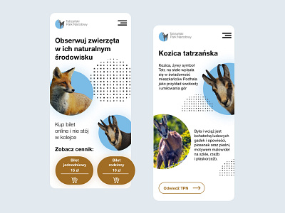 Tatra National Park website redesign idea adobexd illustration minimal uidesign ux uxui vector web