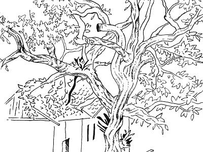 Park sketch black and white brazil drawing hand drawn illustration park pen drawing sketch sketchbook tree trees