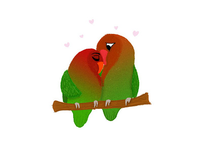 Lovebirds animals birds chicago illustration lincoln park zoo lovebirds zoo