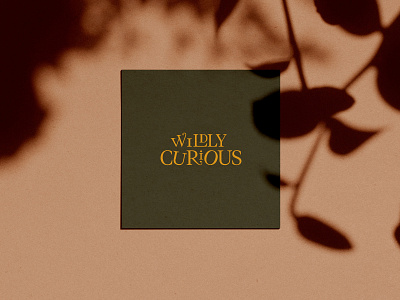 Wildly Curious Co