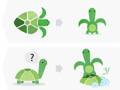 Turtle animal illustration infographic process turtle